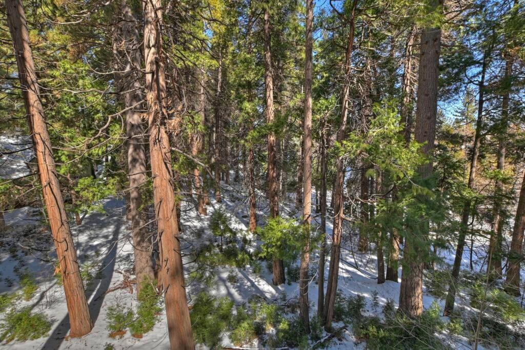 Lakes Edge Lodge A-Frame Steps Away From The Lake! Lake Arrowhead Exterior photo